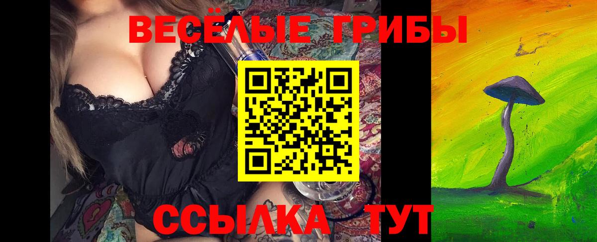Тосно  Псилоцибиновые грибы MAGIC MUSHROOMS  Вход с VPN 